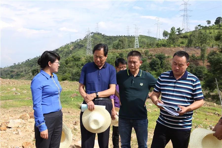 县长庞新秀,副县长李升贵及县环保局负责人陪同核查组一行到实地开展